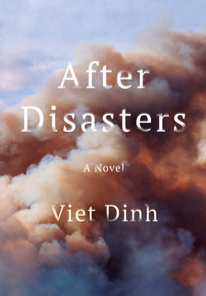 After Disasters by Viet Dinh