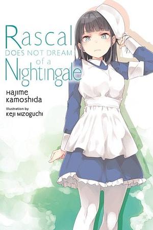 Rascal Does Not Dream of a Nightingale by Keji Mizoguchi, Hajime Kamoshida