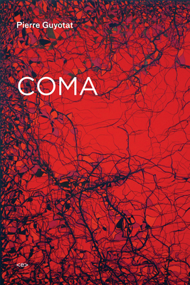 Coma by Pierre Guyotat