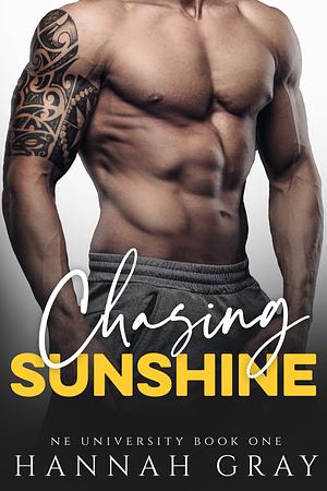 Chasing Sunshine by Hannah Gray