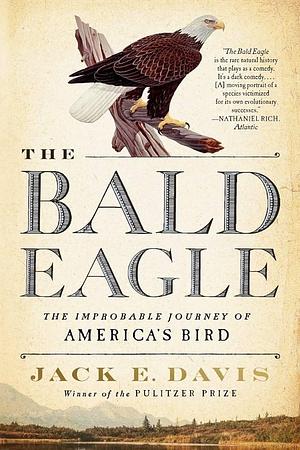 The Bald Eagle: The Improbable Journey of America's Bird by Jack E. Davis