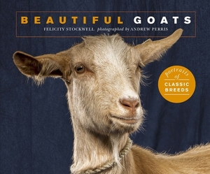 Beautiful Goats: Portraits of Champion Breeds by Felicity Stockwell
