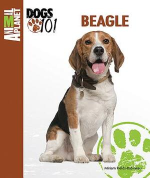 Beagle by Miriam Fields-Babineau