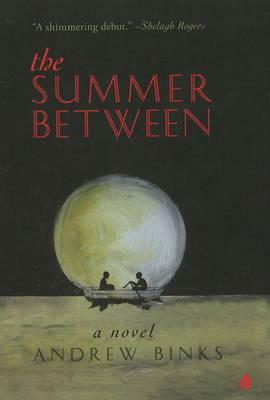 The Summer Between by Andrew Binks