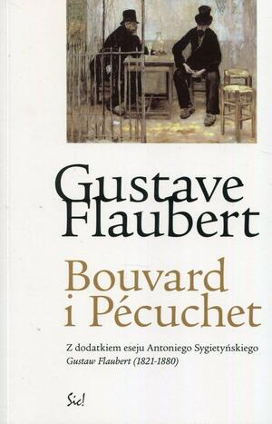 Bouvard i Pécuchet by Antoni Sygietyński, Gustave Flaubert