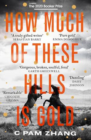 How Much of These Hills Is Gold by C Pam Zhang