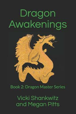 Dragon Awakenings: Book 2: Dragon Master Series by Vicki Shankwitz, Megan Pitts