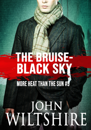 The Bruise-Black Sky by John Wiltshire