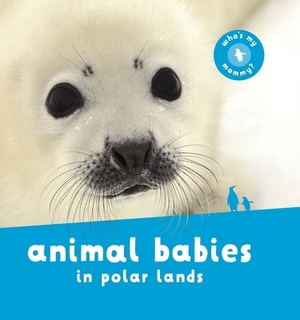 Animal Babies in Polar Lands by Kingfisher Books