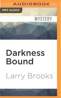 Darkness Bound by Larry Brooks