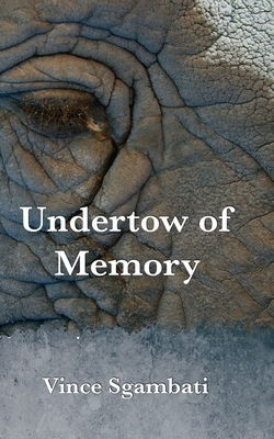 Undertow of Memory by Vince Sgambati