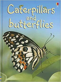 Caterpillars and Butterflies by Stephanie Turnbull