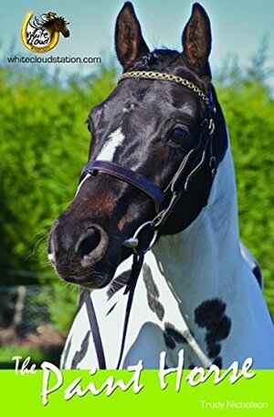 The Paint Horse (White Cloud Station) by Trudy Nicholson