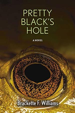 Pretty Black's Hole by Brackette F. Williams