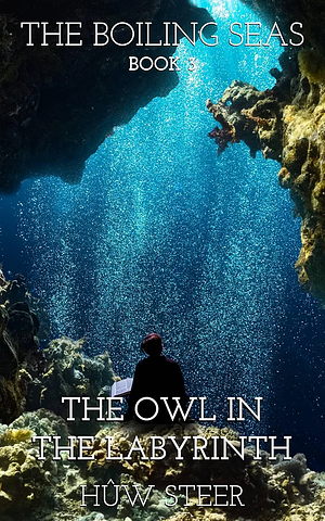 The Owl in the Labyrinth: The Boiling Seas, Book 3 by Hûw Steer