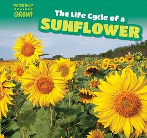 The Life Cycle of a Sunflower by Bonnie Phelps