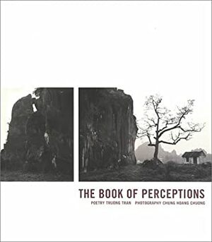 The Book of Perceptions by Chung H. Chuong, Truong Tran