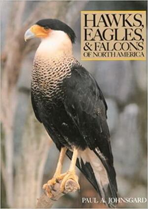 Hawks, Eagles, and Falcons of North America: Biology and Natural History by Paul A. Johnsgard