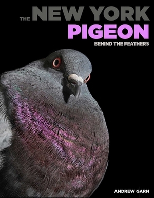 The New York Pigeon: Behind the Feathers by Andrew Garn, Emily S. Rueb