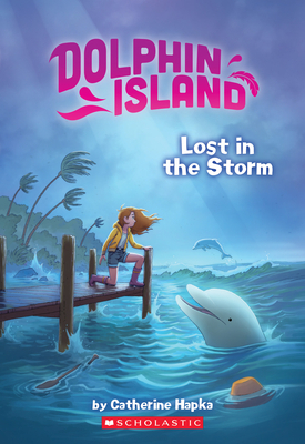 Dolphin Island: Lost in the Storm by Catherine Hapka