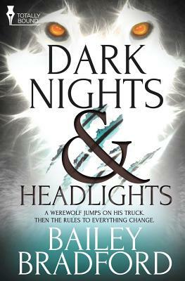 Dark Nights and Headlights by Bailey Bradford