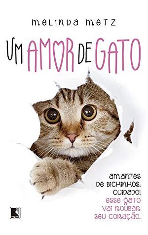 Um Amor de Gato by Melinda Metz