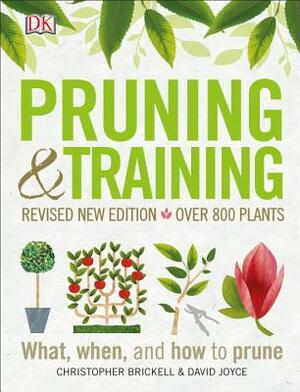 Pruning and Training, Revised New Edition: What, When, and How to Prune by DK
