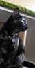 percy_roy's profile picture