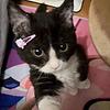 pinkalana's profile picture