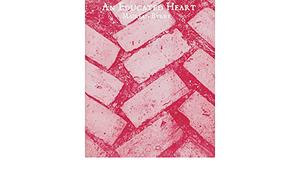 An Educated Heart by Mairead Byrne