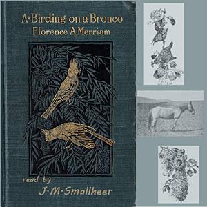 A-Birding on a Bronco by Florence Merriam