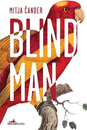 Blind Man by Mitja Čander