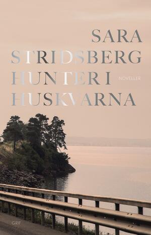 Hunter i Huskvarna by Sara Stridsberg