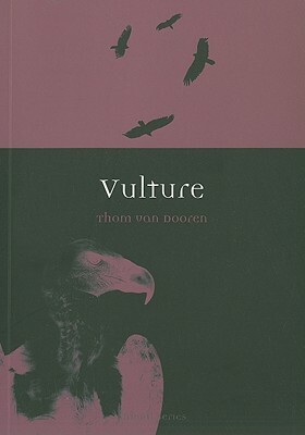 Vulture by Thom van Dooren