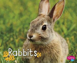 Rabbits by G. G. Lake