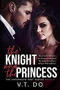 The Knight and the Princess by V.T. Do