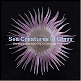 Sea Creatures in Glass: The Blaschka Marine Animals at Harvard by Florian Huber, Scala Arts Publishers