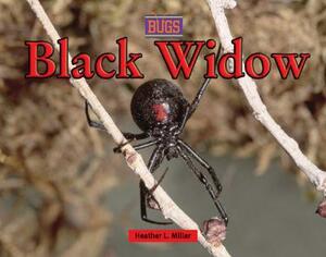Black Widow by Heather Miller