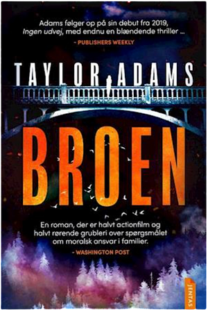 Broen by Taylor Adams