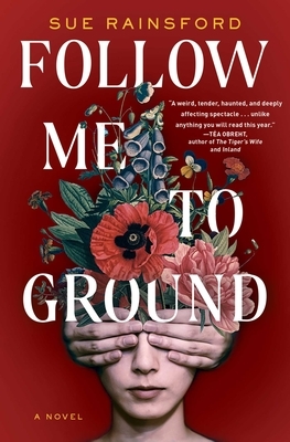 Follow Me to Ground by Sue Rainsford