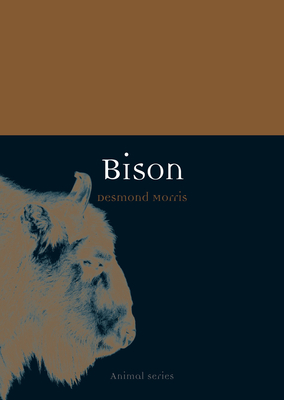 Bison by Desmond Morris