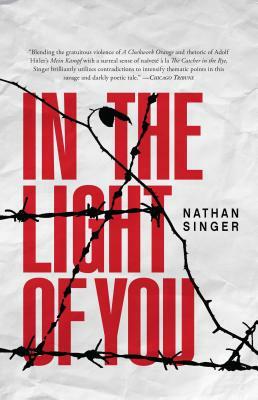 In the Light of You by Nathan Singer