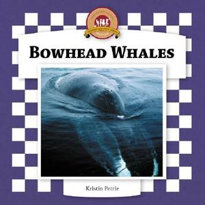 Bowhead Whales by Kristin Petrie