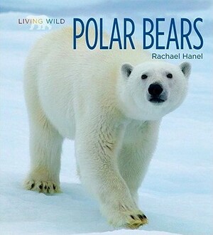Polar Bears by Rachael Hanel