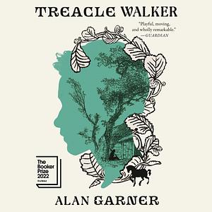 Treacle Walker by Alan Garner