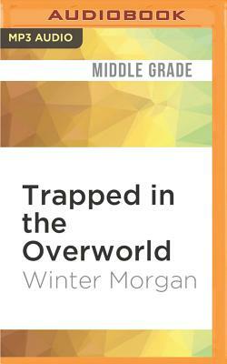 Trapped in the Overworld by Winter Morgan