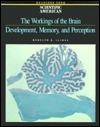 The Workings of the Brain: Development, Memory, and Perception: Readings from Scientific American Magazine by Rodolfo R. Llinás