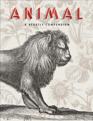 Animal: A Beastly Compendium by Rémi Mathis, Valérie Sueur-Hermel