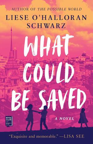 What Could Be Saved by Liese O'Halloran Schwarz