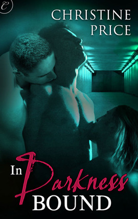 In Darkness Bound by Christine Price